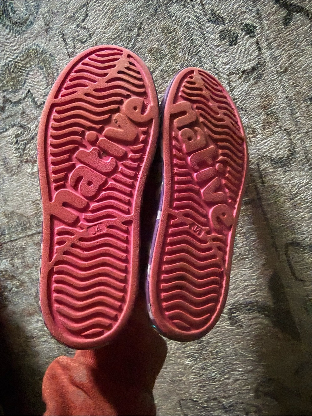 Native Shoes - Picture 2 of 3